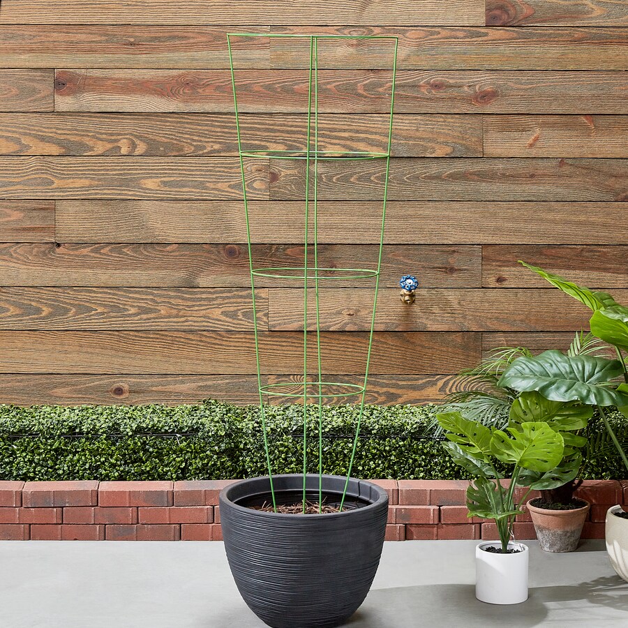 54in PowderCoated Galvanized Steel Wire Round Tomato Cage in the