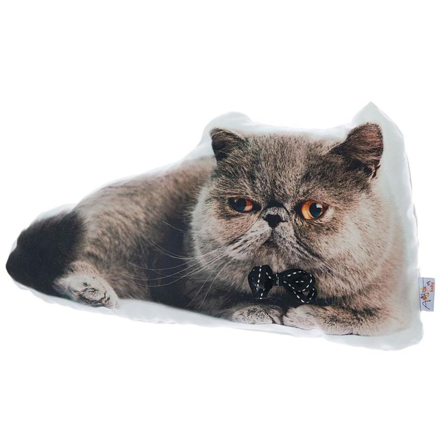 HomeRoots Filled Pillow with Exotic Short Hair Cat Shape, Animal Shaped