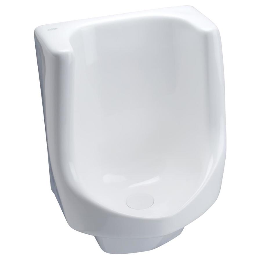Zurn Waterless ADA Urinal in the Urinals department at