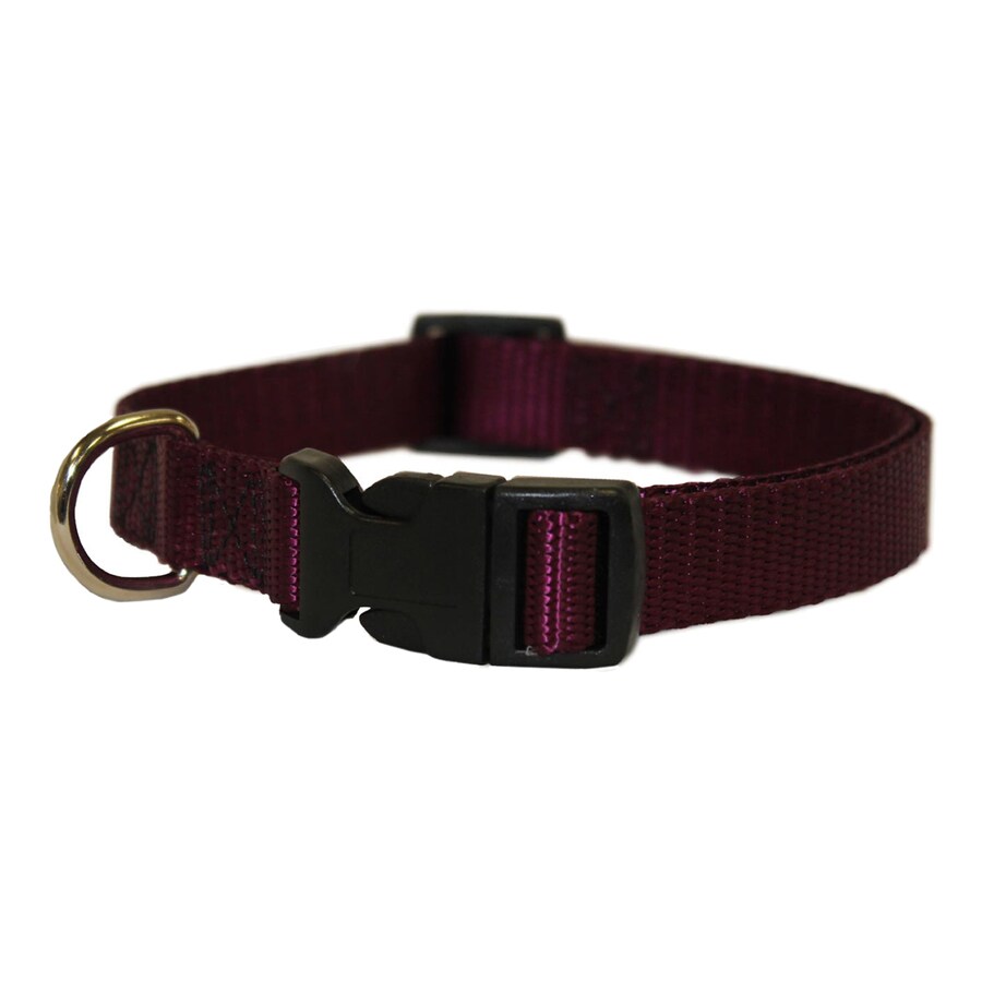 Majestic Pets Burgundy Nylon Dog Collar at