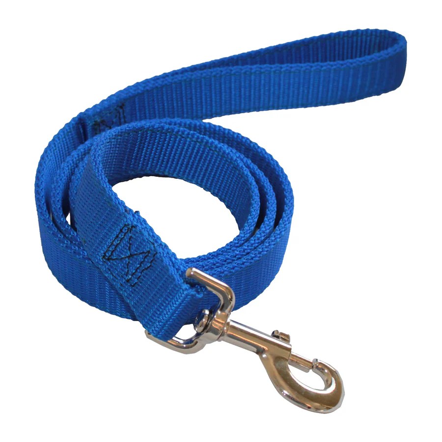 Majestic Pets Blue Nylon Dog Leash at