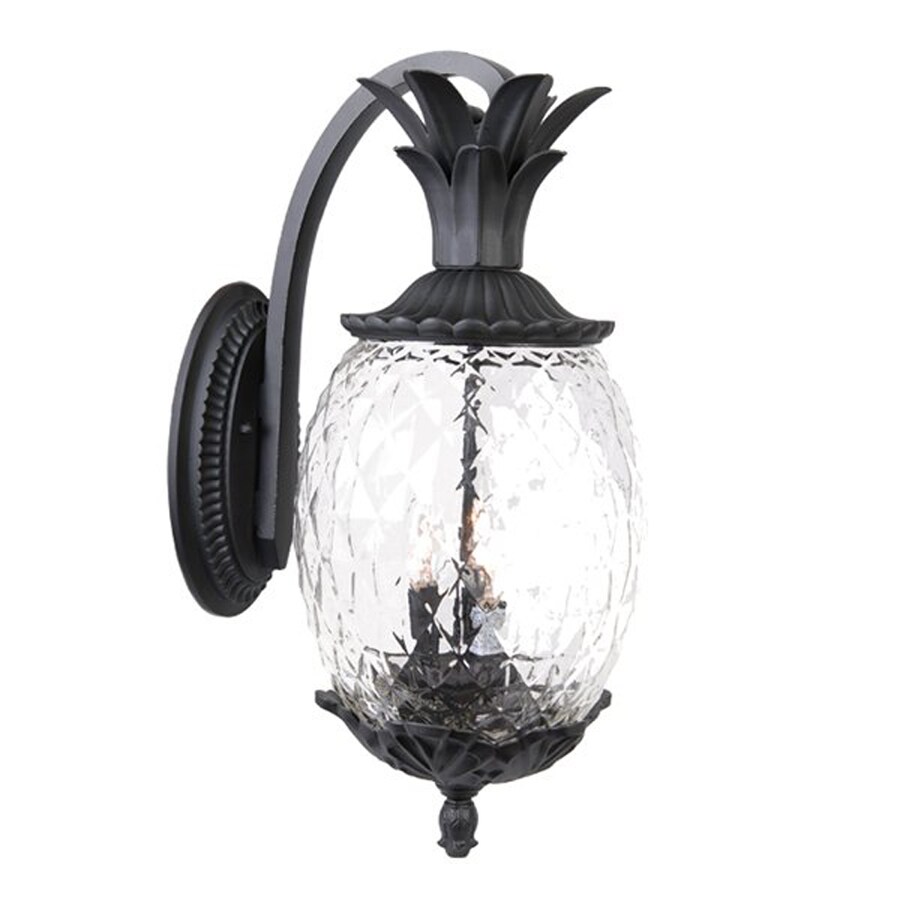 Acclaim Lighting Lanai 21in H Matte Black Candelabra Base (E12