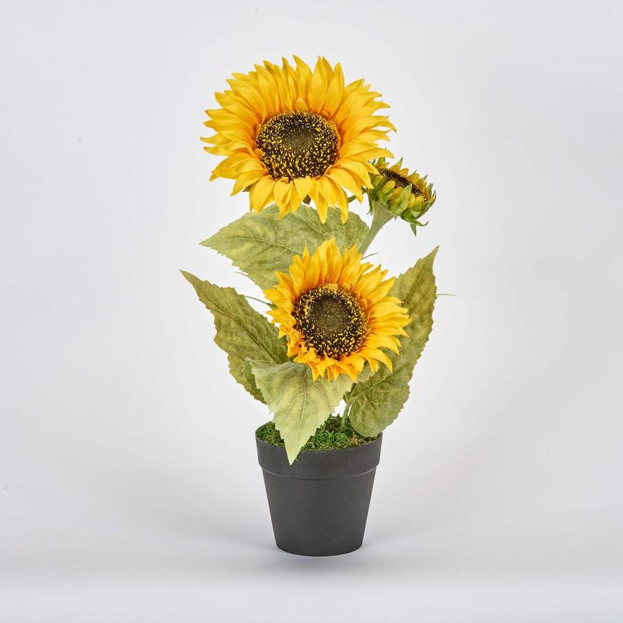 Worth Imports 14in Potted Sunflower Plant with 3 Sunflower Heads in