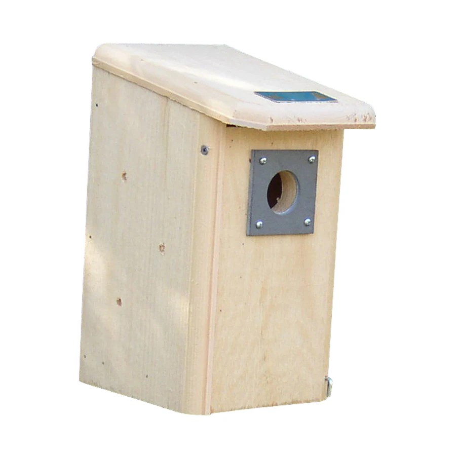Coveside Conservation 6.25in W x 12.5in H x 8.25in D Unfinished Pine Bird House in the Bird