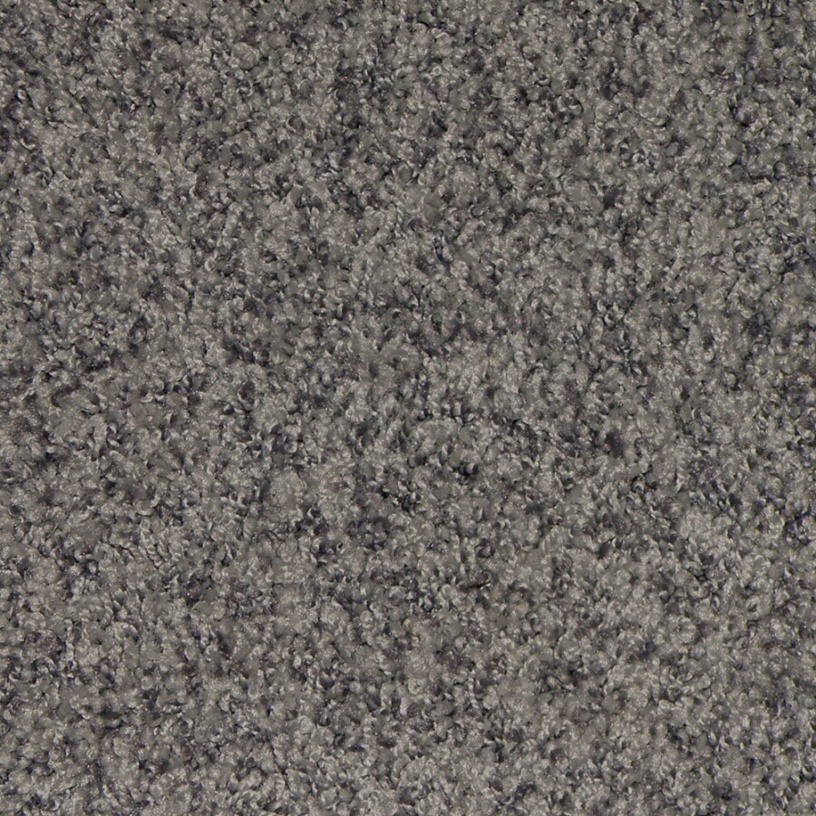 STAINMASTER Harmony Heather Frieze Indoor Carpet at