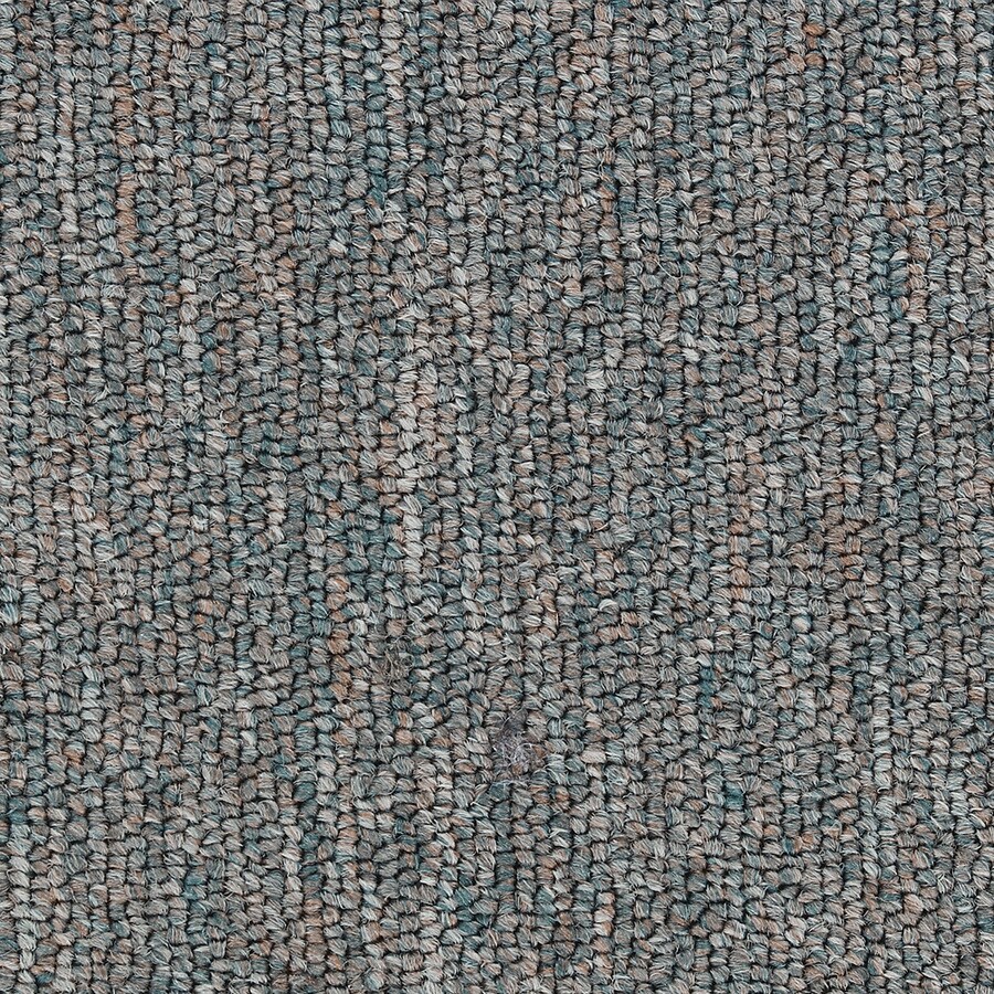 Shop Abilene I Ambrosia Berber/Loop Interior Carpet at