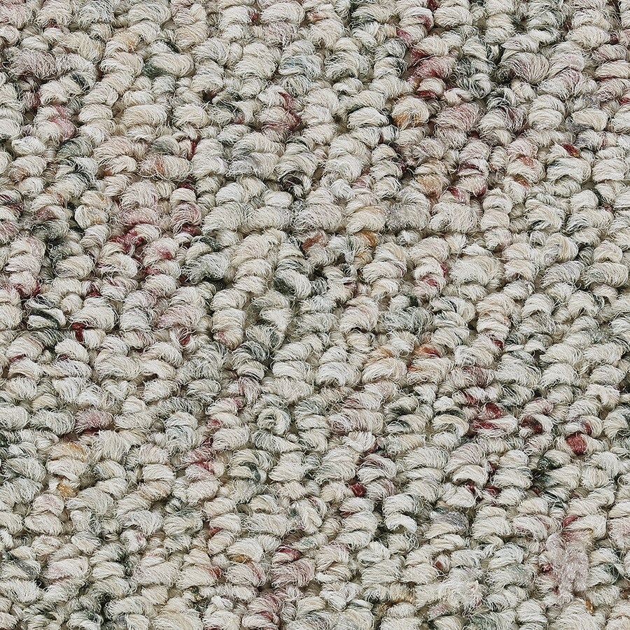 15ft Program Crucial Berber/Loop Interior Carpet at