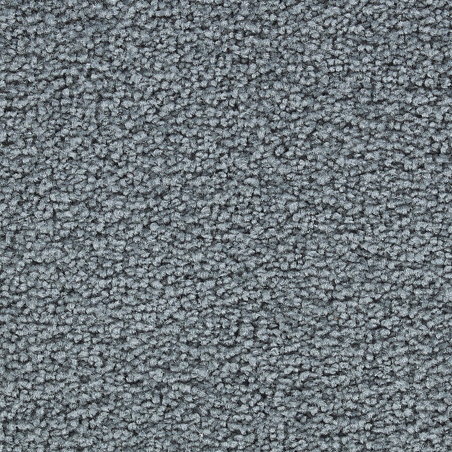 15ft Program Noteworthy Berber/Loop Interior Carpet at