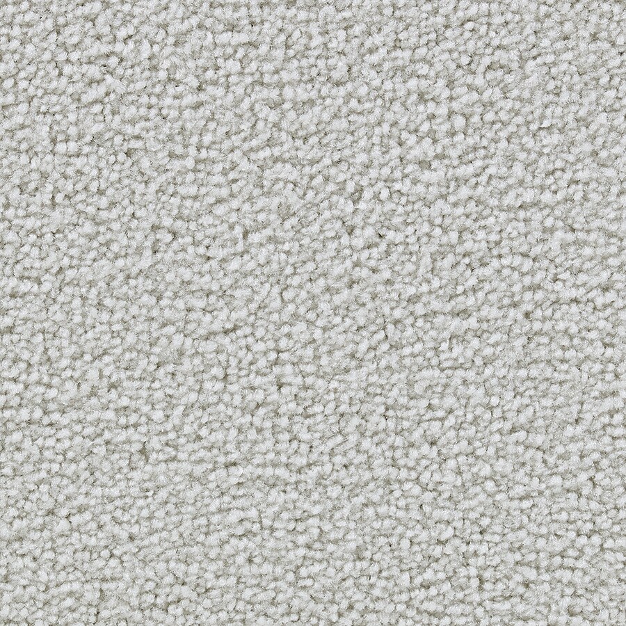 15ft Program Powerful Berber/Loop Interior Carpet at