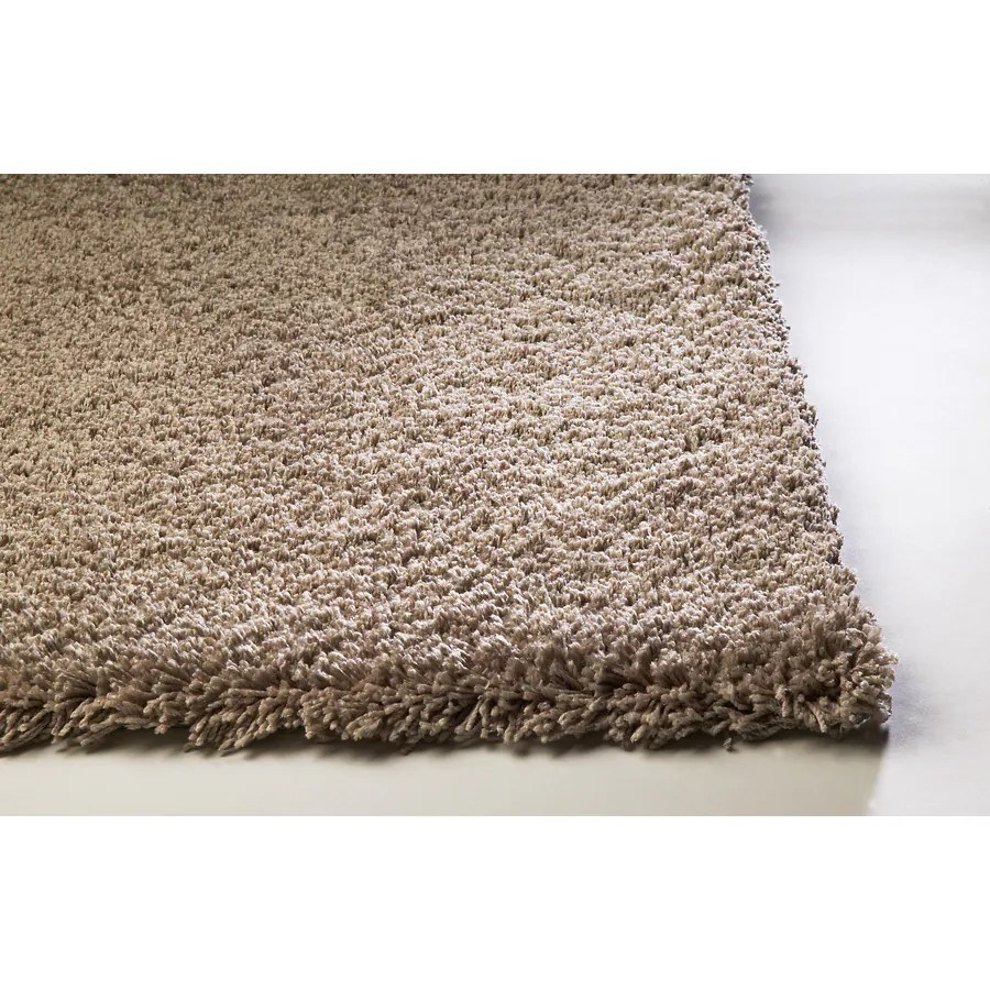 Shop Sofia Brown Rectangular Indoor Shag Area Rug (Common ... (900 x 900 Pixel)