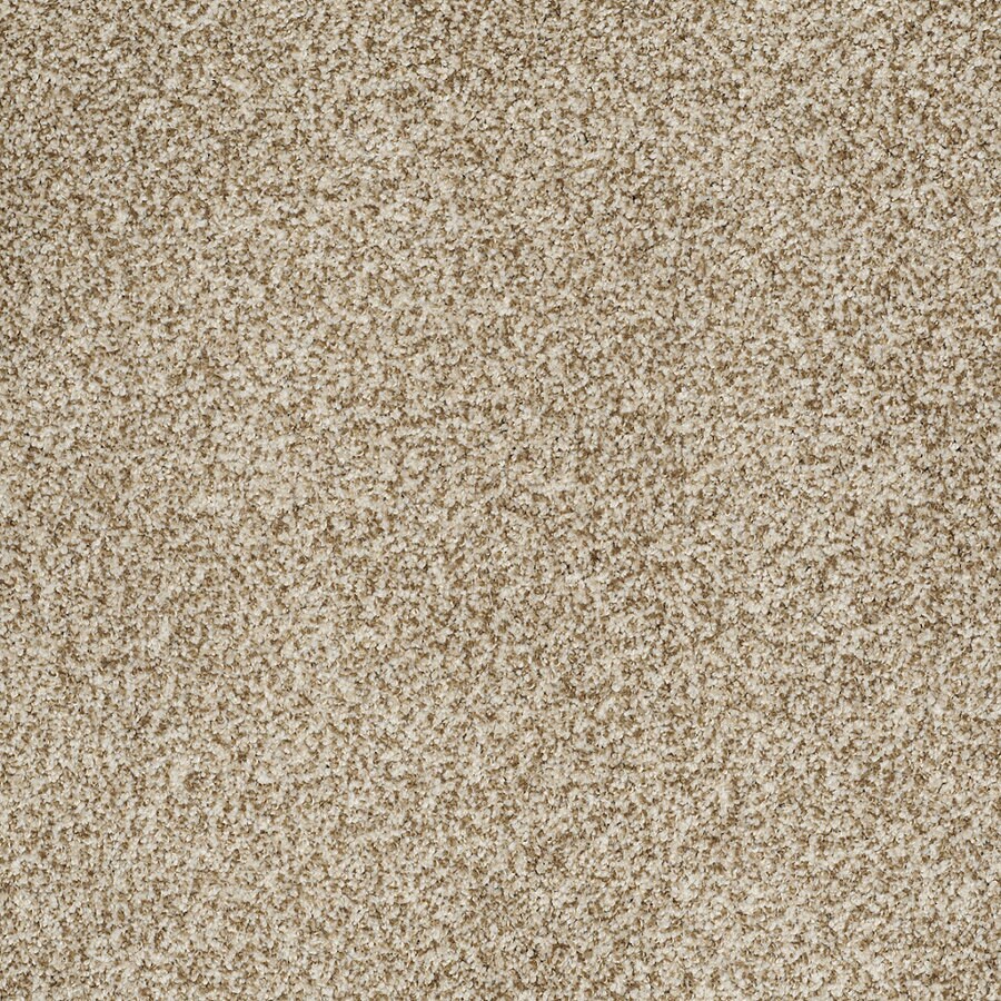 STAINMASTER TruSoft Peaceful Mood I 12ft W Light Mocha Textured
