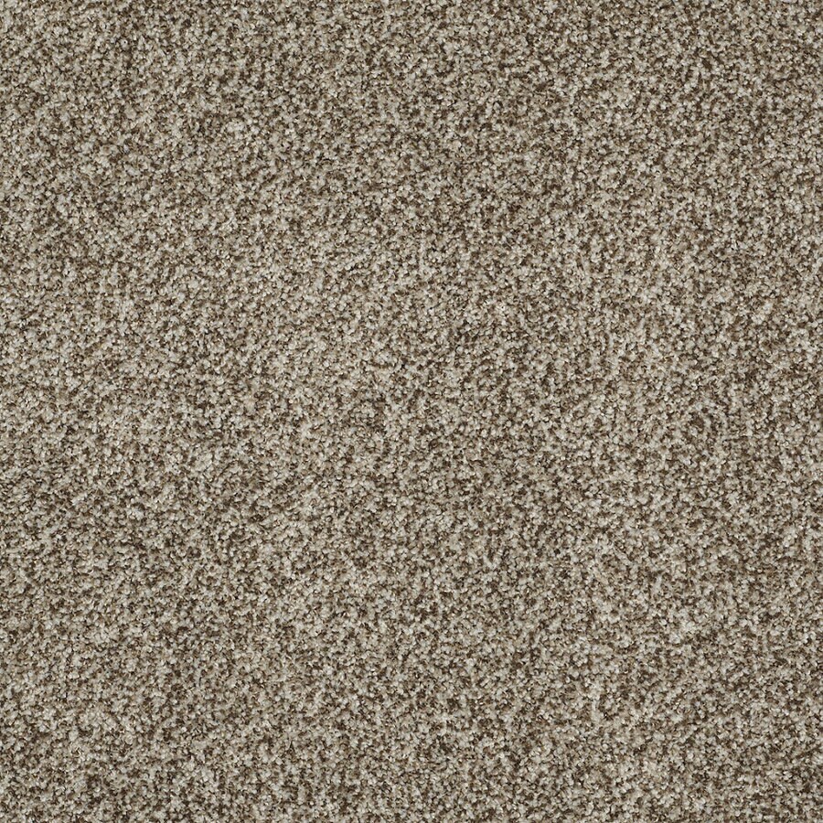 STAINMASTER TruSoft Peaceful Mood II 12ft W Storm Cloud Textured