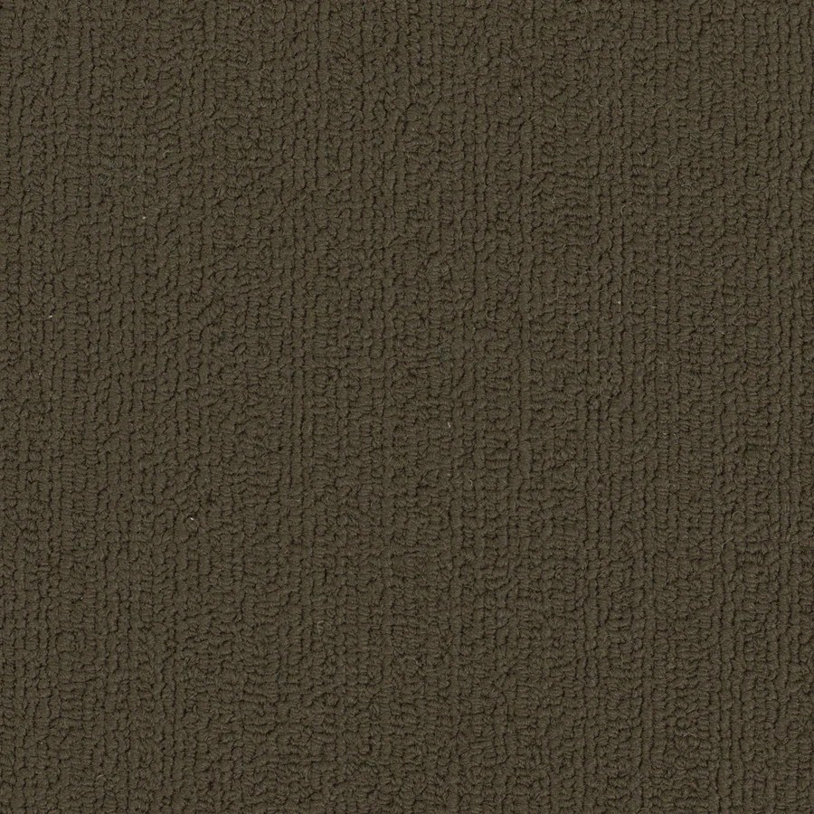 Shop Shaw Commercial Timber Berber Indoor Carpet at