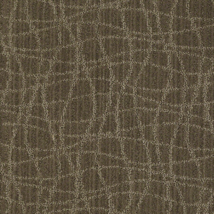 Shop STAINMASTER Active Family Holly Springs 12ft W Urbana Berber/Loop