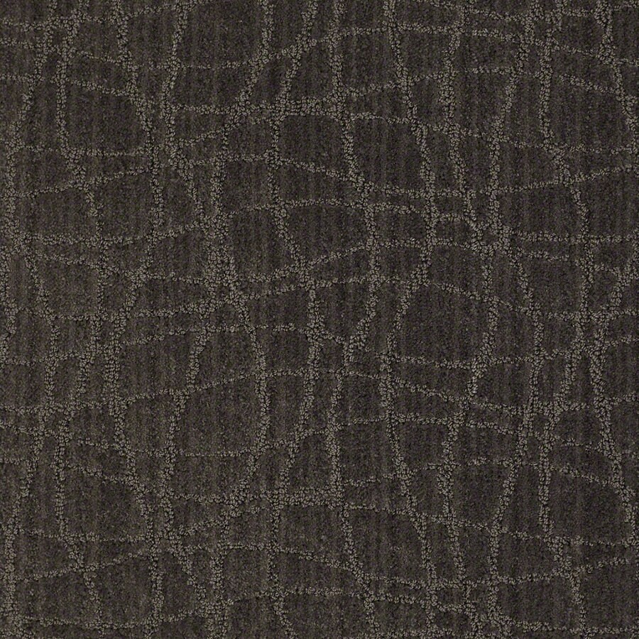 Shop STAINMASTER Active Family Holly Springs 12ft W Lava Berber/Loop