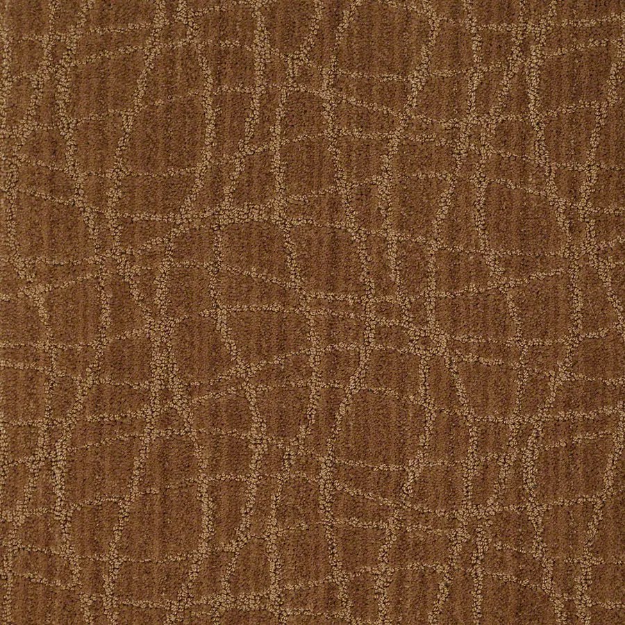 Shop STAINMASTER Active Family Holly Springs 12ft W Melted Copper