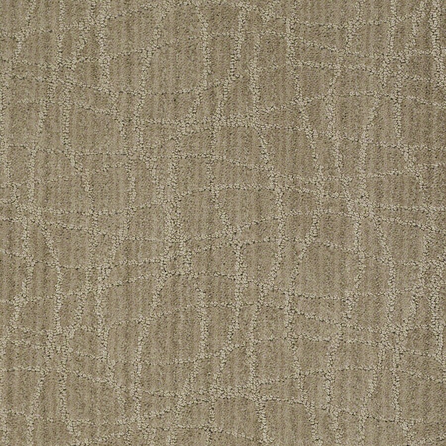 Shop STAINMASTER Active Family Holly Springs 12ft W Chamomile Berber