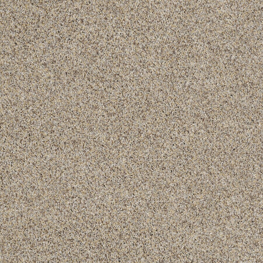 Shaw Private Oasis IV 8 X 11 (ft) Antico Solid Area Rug at