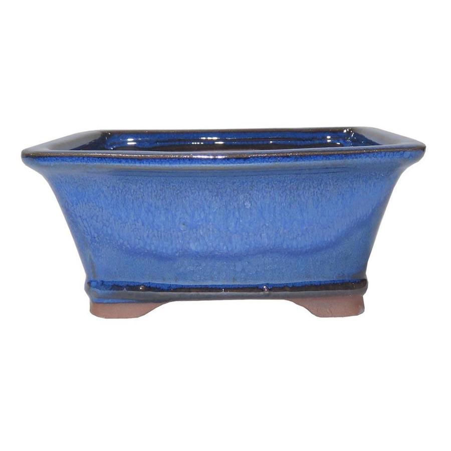 Brussel's Bonsai Blue Glaze Bonsai Pots at