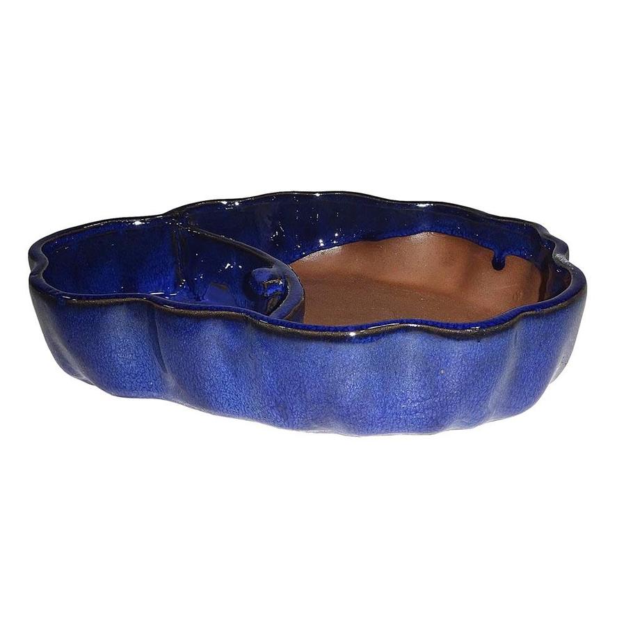 Brussel's Bonsai Blue Glaze Bonsai Pots in the House Plant Accessories department at