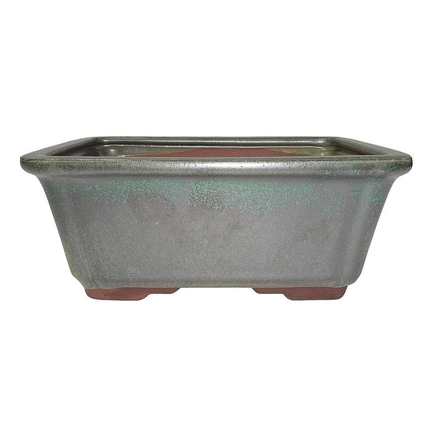 Brussel's Bonsai Sesame Green Glaze Bonsai Pots in the House Plant Accessories department at
