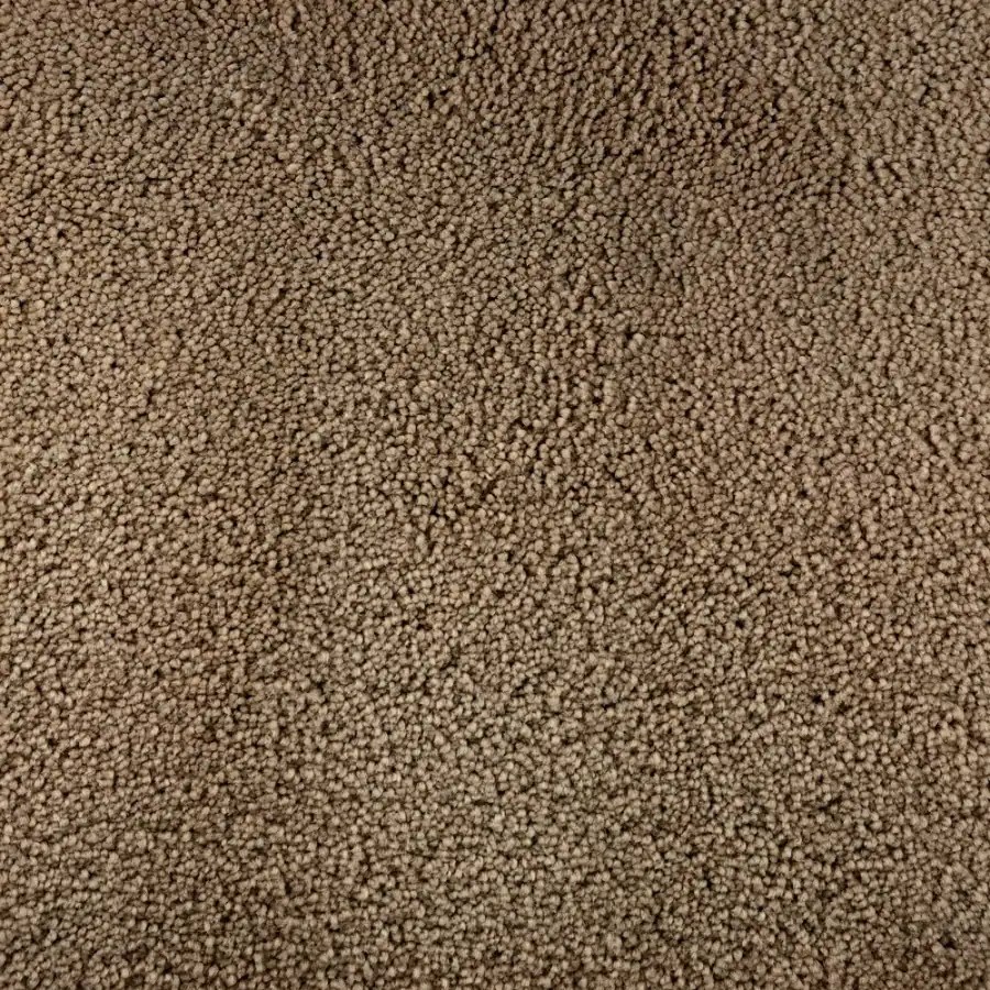 Shop STAINMASTER Active Family Bellaire Bay Tan/Brown Saxony Indoor Carpet at