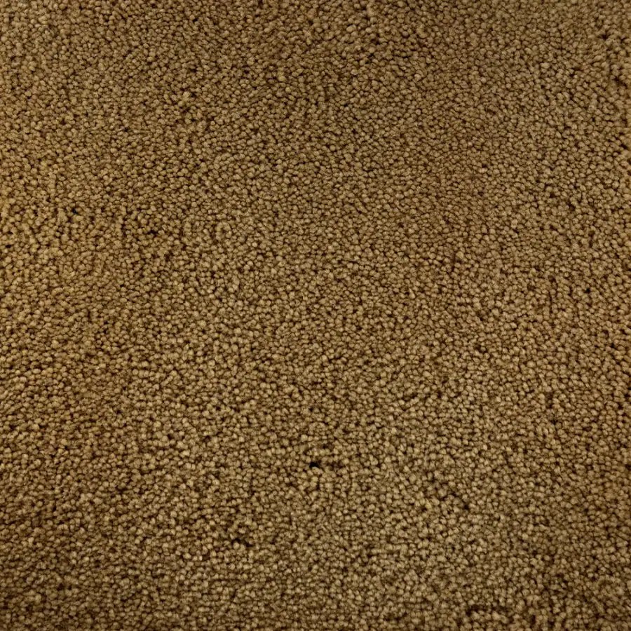 Shop STAINMASTER Active Family Bellaire Bay Tan/Brown Saxony Indoor Carpet at