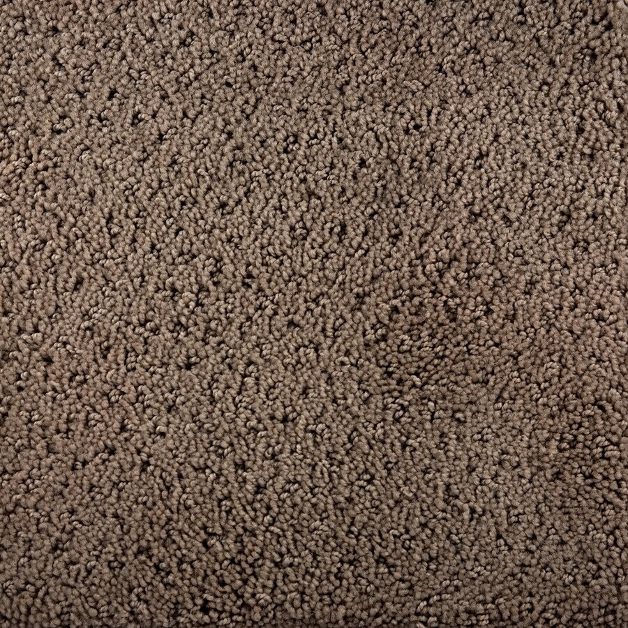 Shop Royalty Carpet Mills Active Family Presidio Listen Pattern