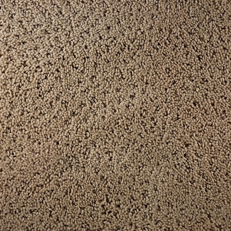 Royalty Carpet Mills Active Family Presidio Teen Pattern Interior