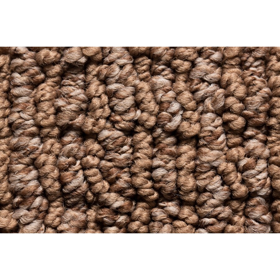 Royalty Carpet Mills Active Family Solstice Zion Narrows Berber/Loop