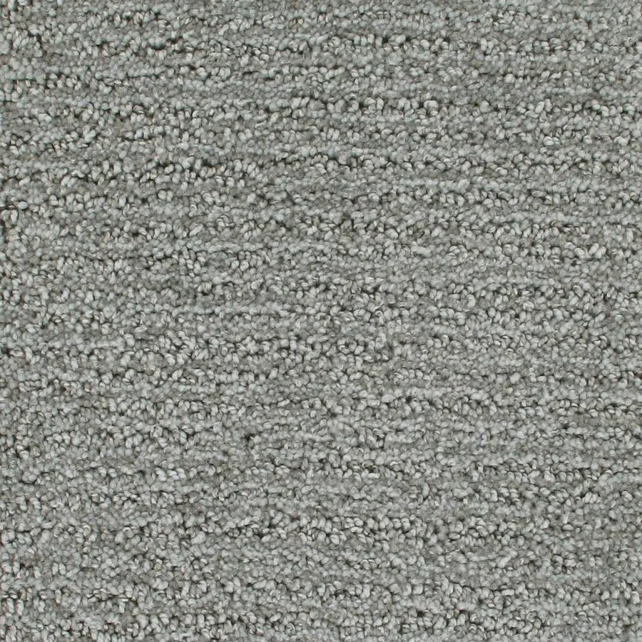 Shop STAINMASTER Active Family Orion Astronomer Pattern Indoor Carpet