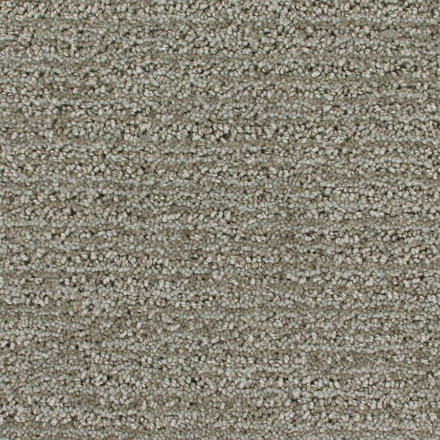 Royalty Carpet Mills Active Family Orion Cosmic Pattern Interior Carpet