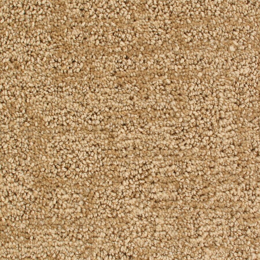 Royalty Carpet Mills Active Family Galaxy Meteor Pattern Interior