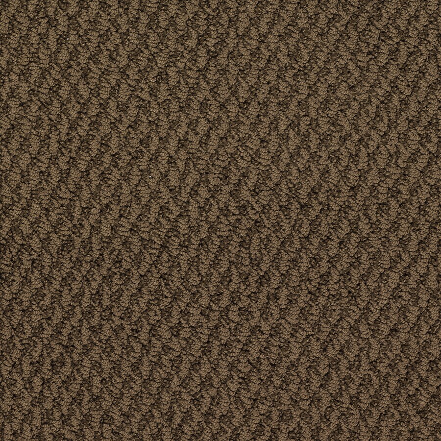 Royalty Carpet Mills Active Family Hoover Dam Fashion Forward Indoor