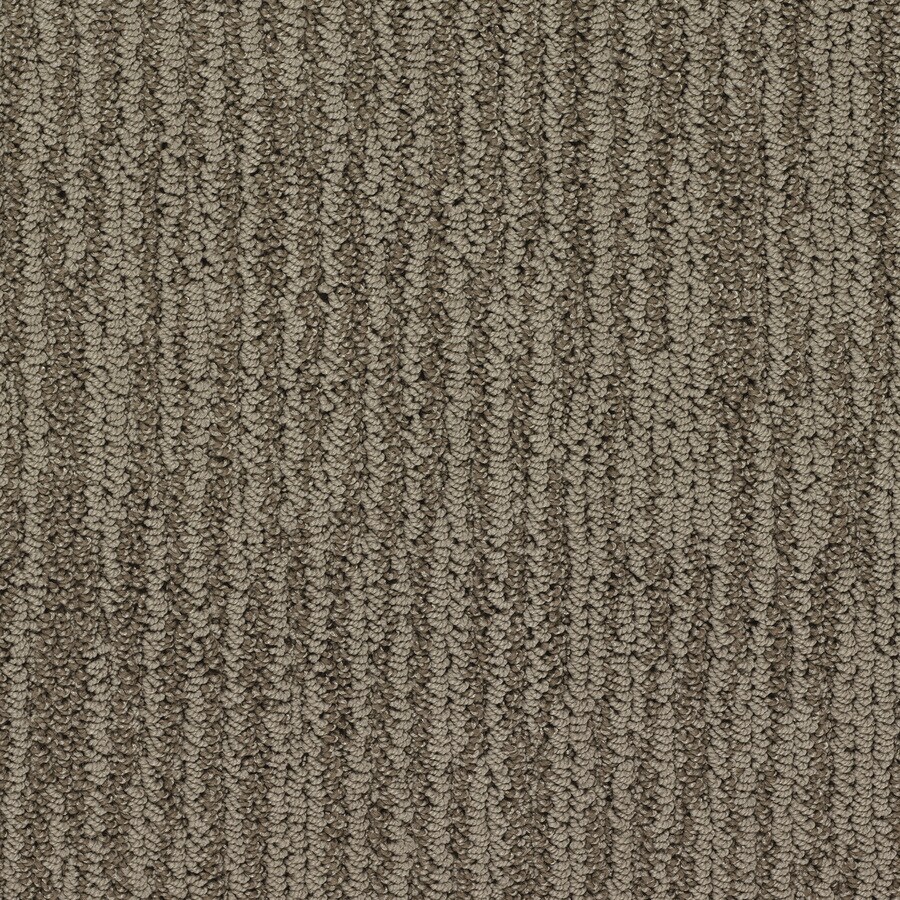 Royalty Carpet Mills Active Family King Tut Fashion Forward Indoor