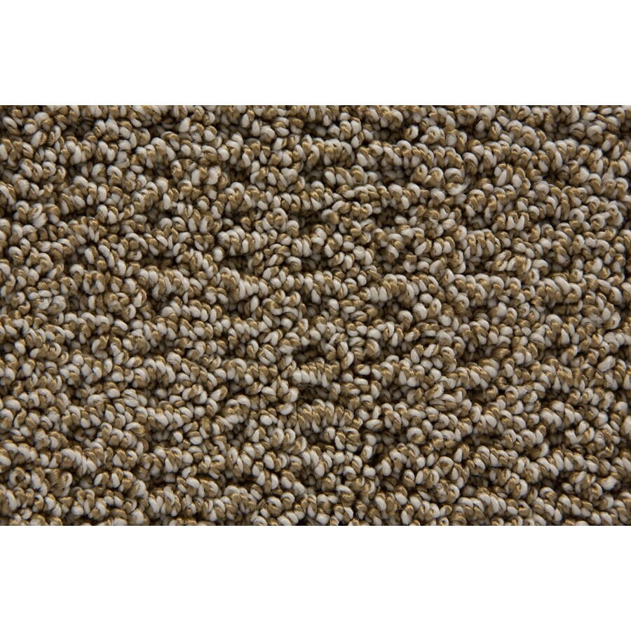 Shop STAINMASTER TruSoft Merriment Sandstone Pattern Indoor Carpet at