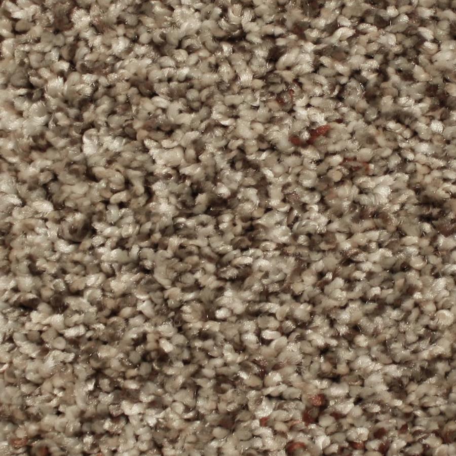 STAINMASTER Essentials Channing Vibrant Town Textured Carpet Sample