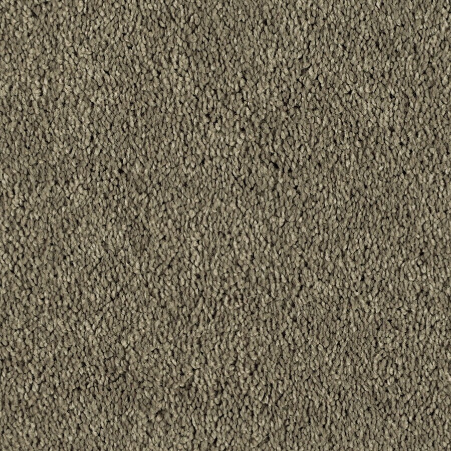 STAINMASTER Essentials Soft and Cozy III Tall Mocha Carpet Sample at