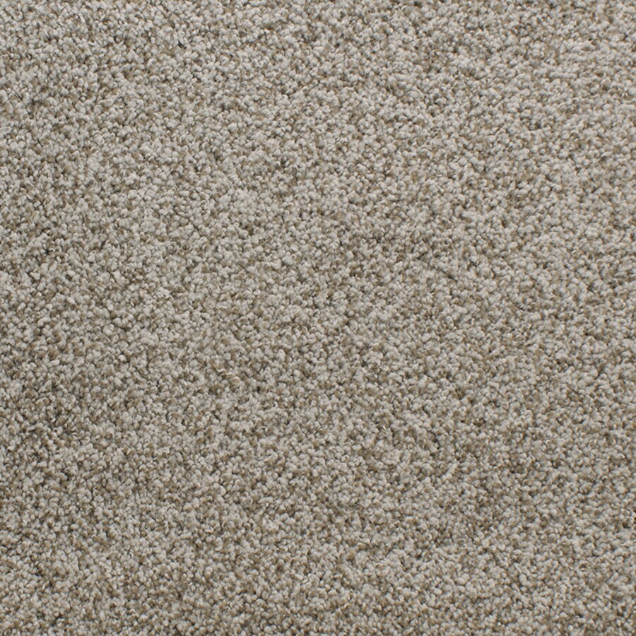 STAINMASTER 4 x 6 Weathered Indoor Solid Tufted Area Rug in the Rugs
