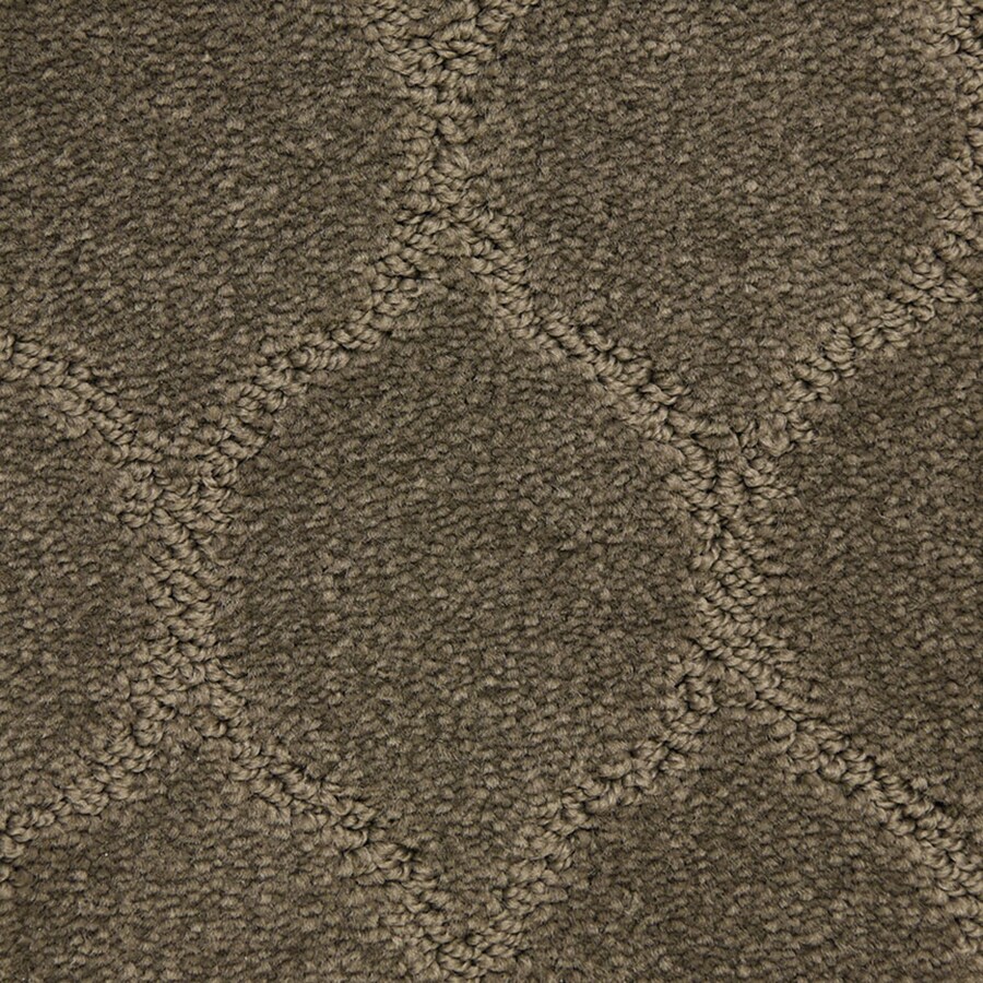 STAINMASTER PetProtect Iconic Ambient Pattern Carpet (Indoor) in the