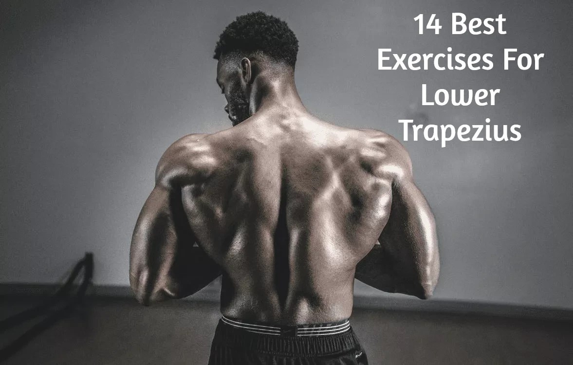14 Best Exercises For Lower Trapezius Health and Performance