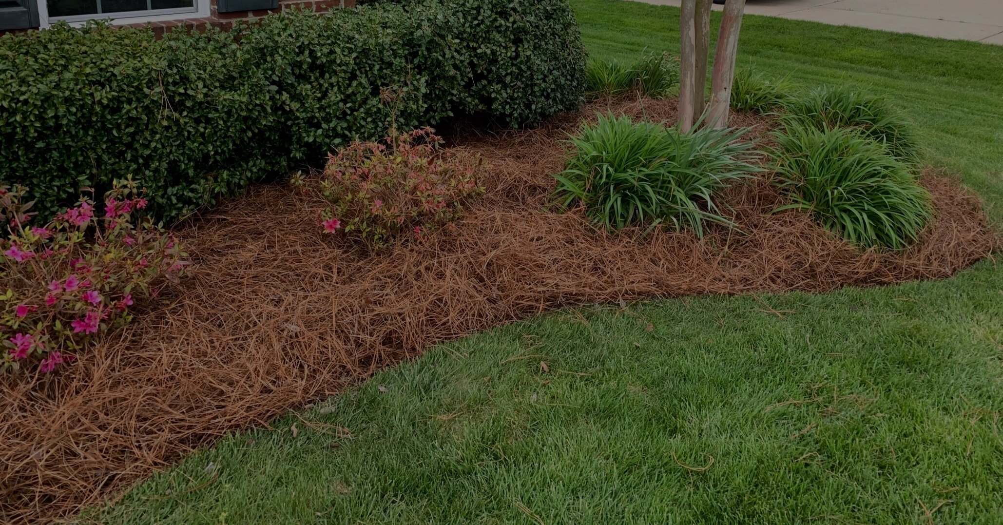 The Mobile Straw Company