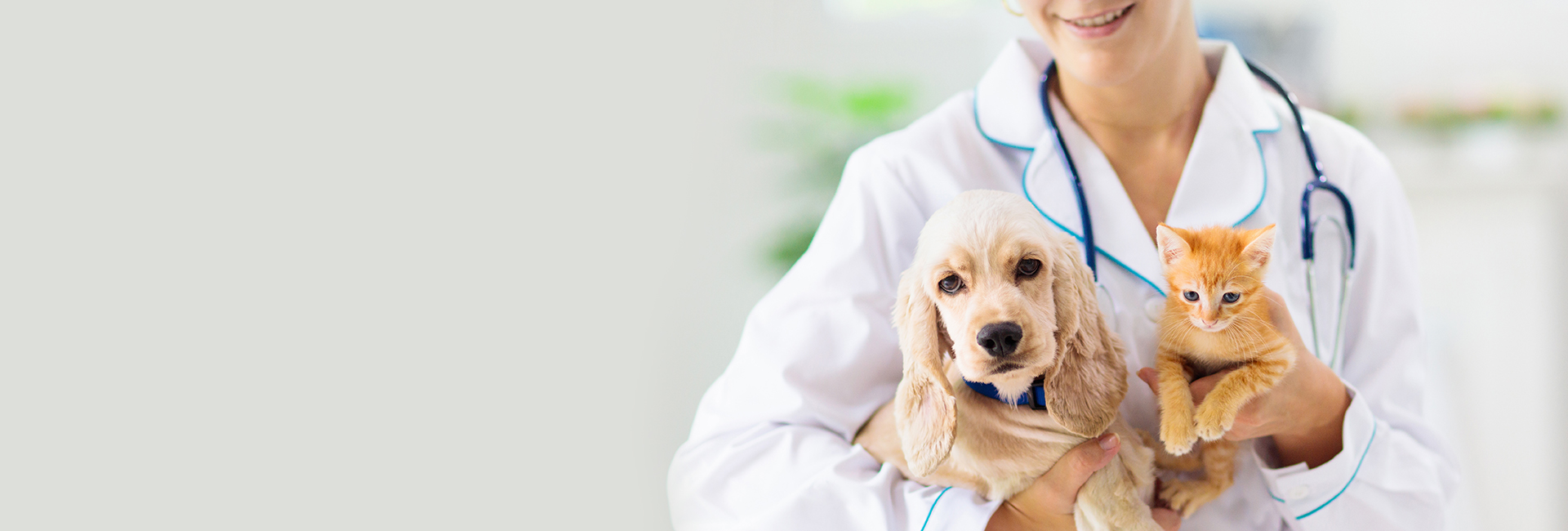🚑 Dr. Wendy Mobile Vet Care Calgary