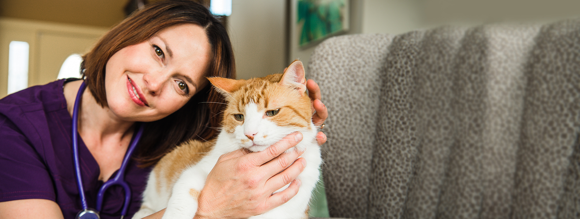 🚑 Dr. Wendy Mobile Vet Care Calgary