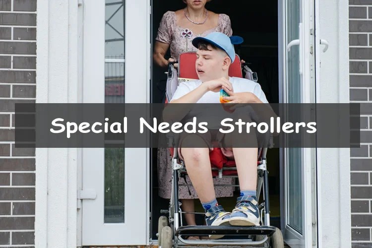 Best Special Needs Strollers For Children