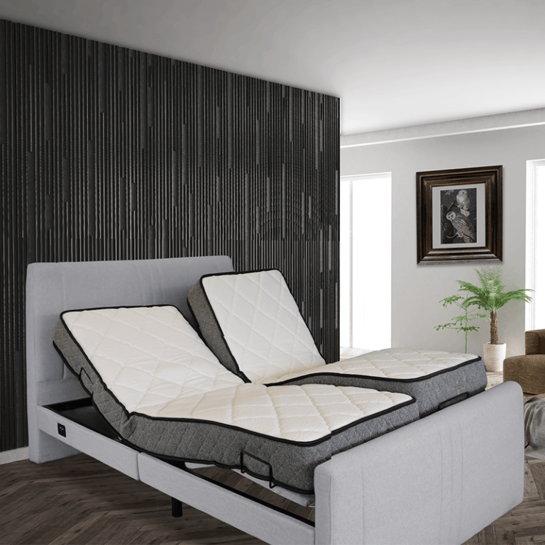 Double Hospital Bed For Home Use Mobility Rentals and Sales