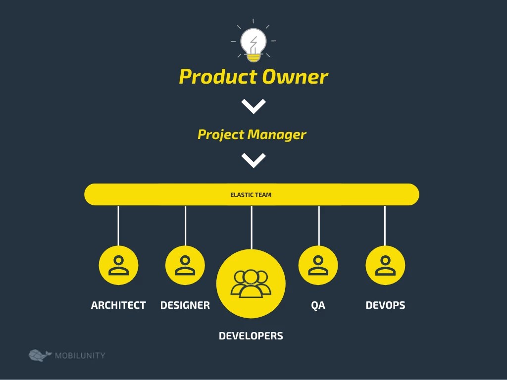 Software Development Team Structure Set Up Mobilunity Software Development Team Structure Set Up Mobilunity