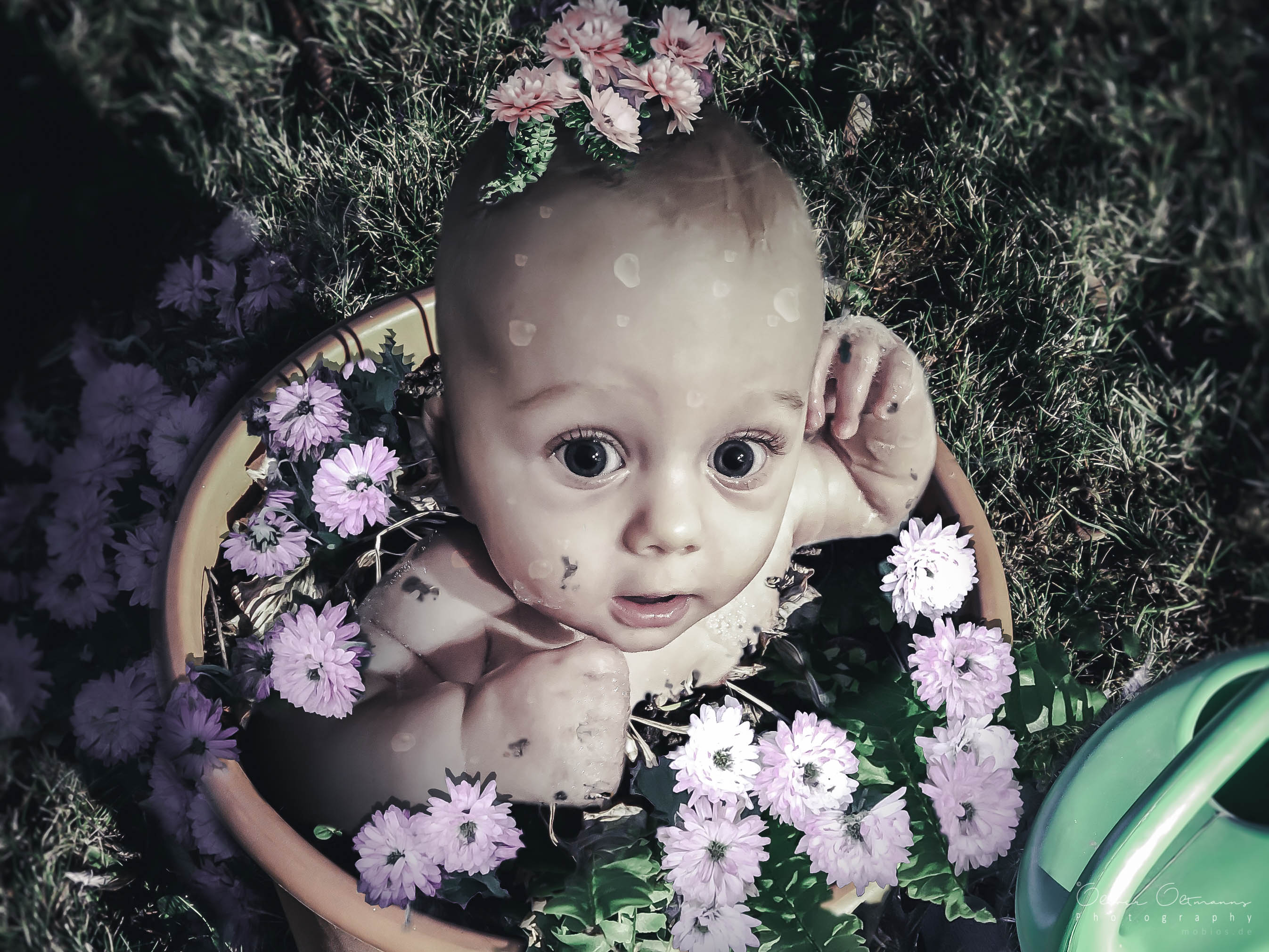 Baby im Blumentopf MoBIoS Welt