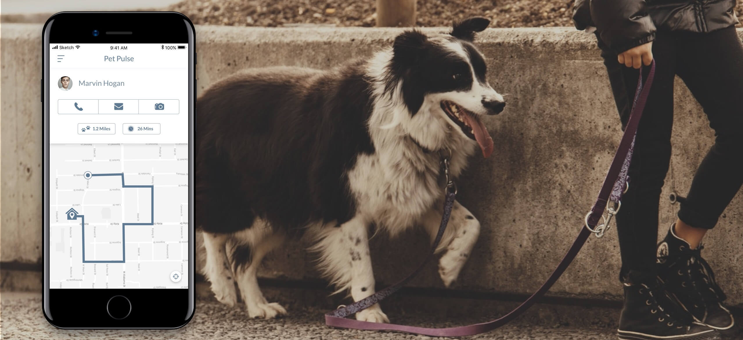 Find OnDemand Dog Walker Near You Through These Dog Walking Apps