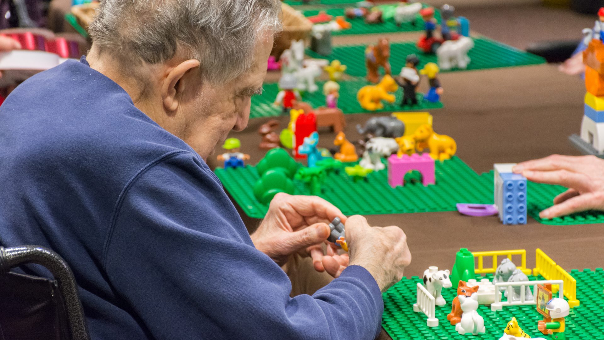 Senior Building Mo'Brickz